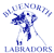 Bluenorth Labradors